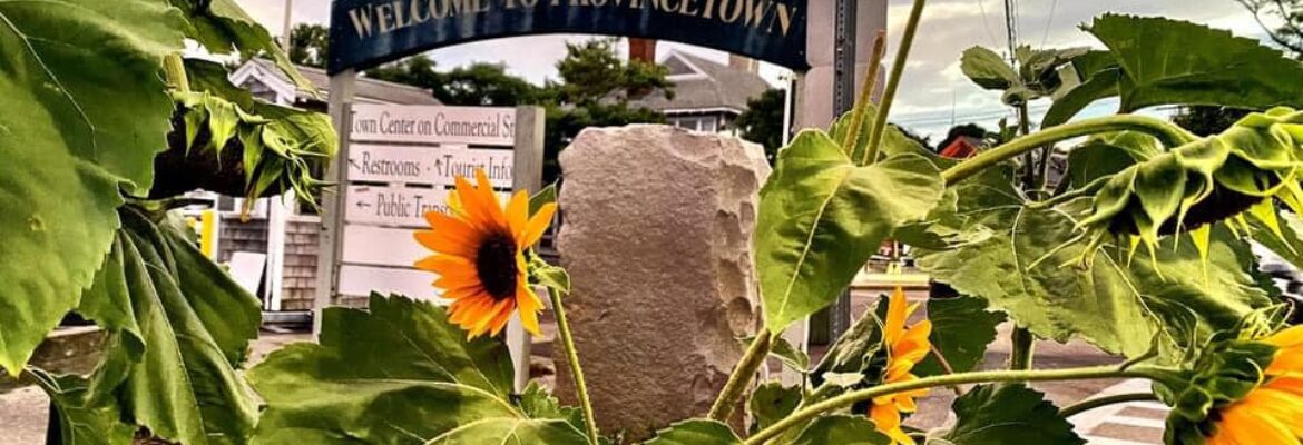 Friends of Provincetown Parks and Gardens